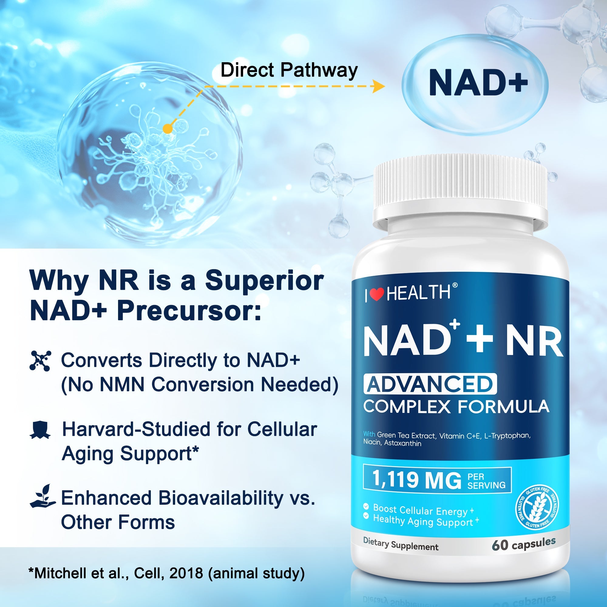 NAD+ Supplement 300mg with NR 150mg — 60 Capsules, Made in USA
