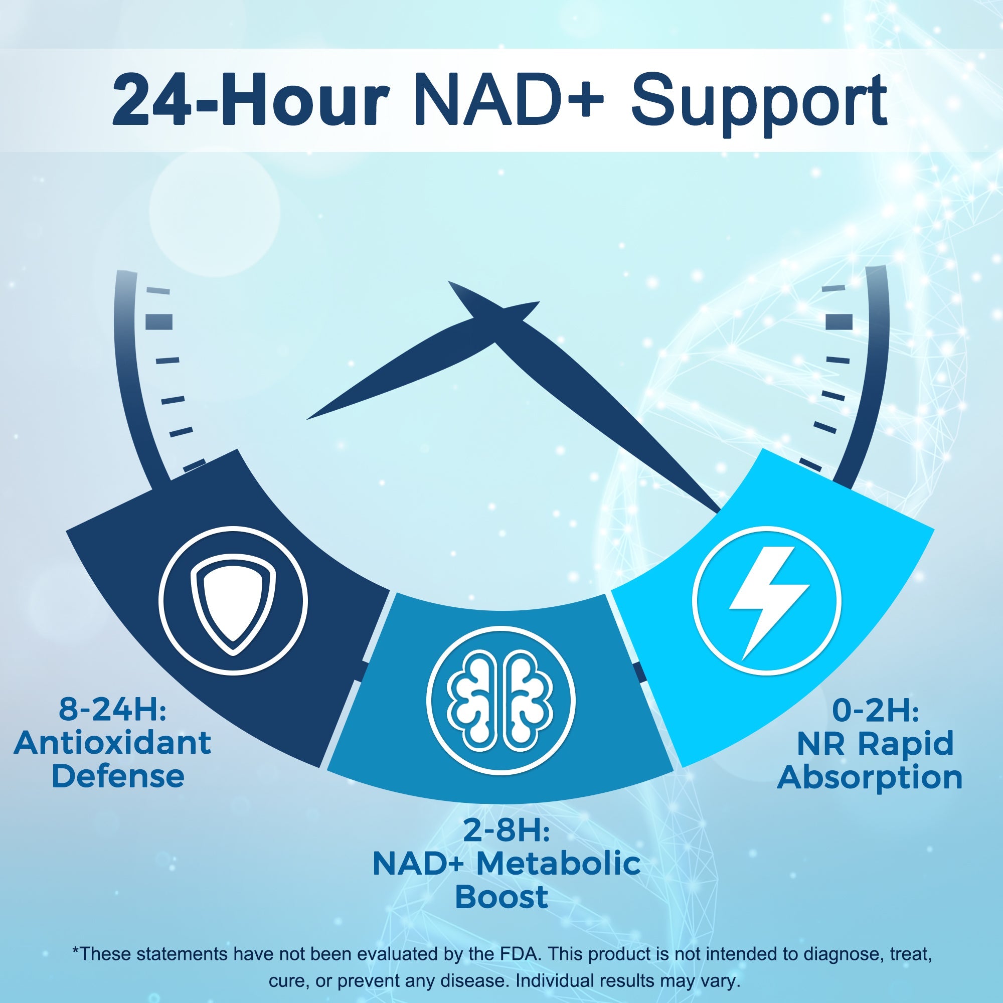 NAD+ Supplement 300mg with NR 150mg — 60 Capsules, Made in USA
